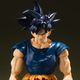Illustration for article titled Rare Gokus Possibly Lost At Sea After Major Shipping Accident